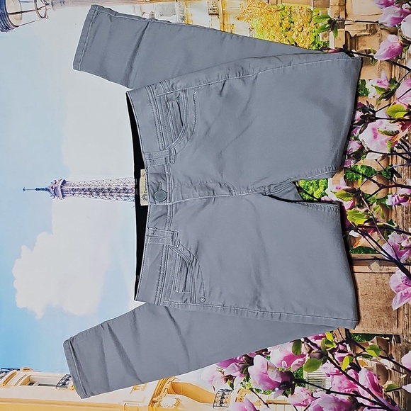 Democracy Ab Technology Gray Skinny Jeans Size 4 - Picture 2 of 5